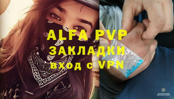 PSILOCYBIN Нягань
