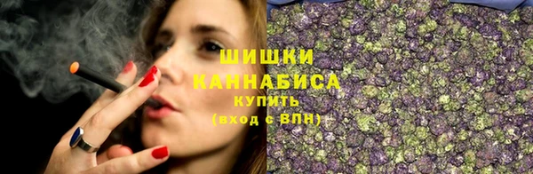 PSILOCYBIN Нягань