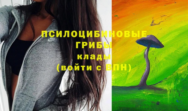 PSILOCYBIN Нягань