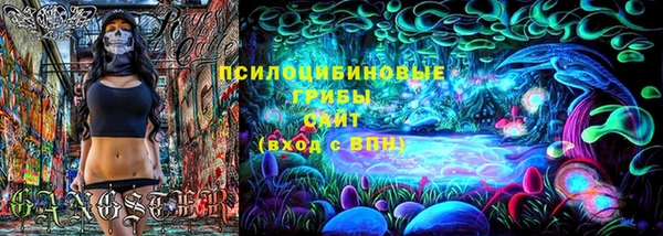 PSILOCYBIN Нягань