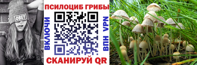 Галлюциногенные грибы MAGIC MUSHROOMS  где продают   MEGA ссылки  Ступино 