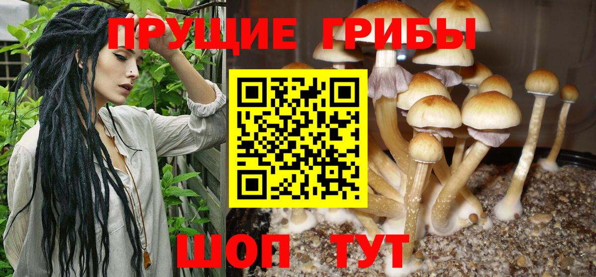 Псилоцибиновые грибы Cubensis  магазин  наркотиков  Ступино  Вход с VPN 